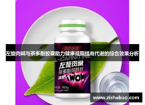 左旋肉碱与茶多酚胶囊助力健康减脂提高代谢的综合效果分析