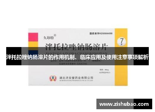 泮托拉唑钠肠溶片的作用机制、临床应用及使用注意事项解析