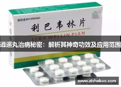 逍遥丸治病秘密：解析其神奇功效及应用范围