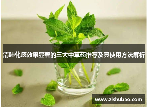 清肺化痰效果显著的三大中草药推荐及其使用方法解析